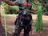 Tree Surgeon Climbing Rope